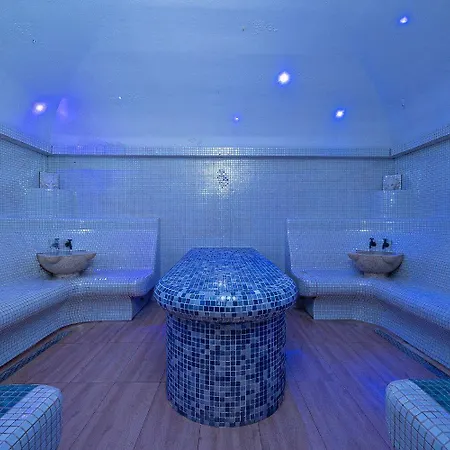 Dmt Regim Hotelier Rin