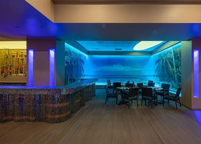 Dmt Regim Hotelier Rin