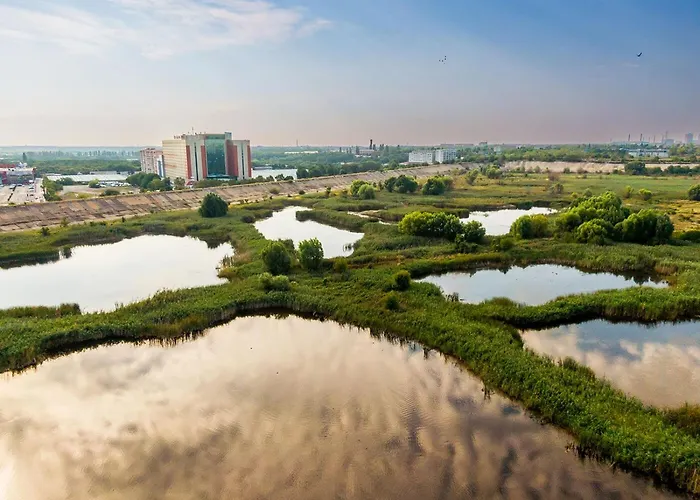 Dmt Regim Hotelier Rin Apartament *