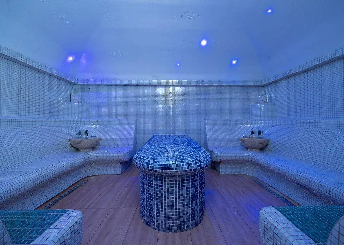 Dmt Regim Hotelier Rin